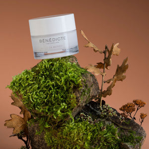 Visuel de la crème Belle en Automne Bénédicte photographiés sur de la roche avec des branches sur un fond marron