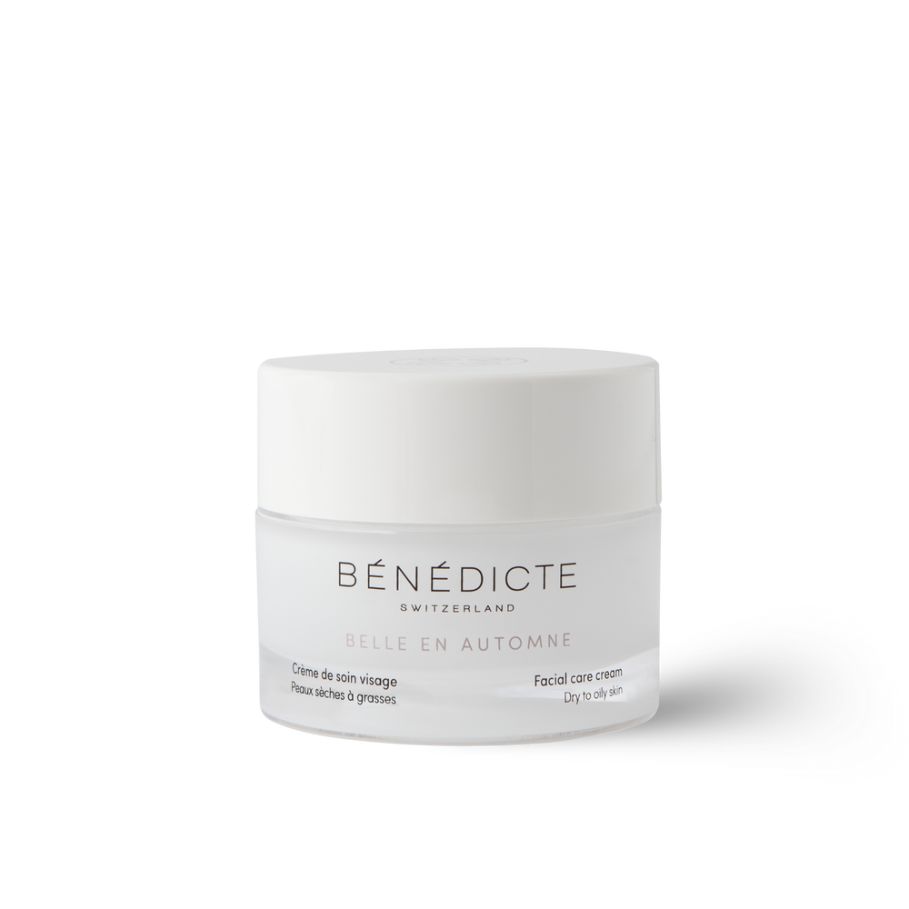 Visuel des Essentiels pour l'Automne Bénédicte photographiés sur de la roche avec des branches sur un fond marron