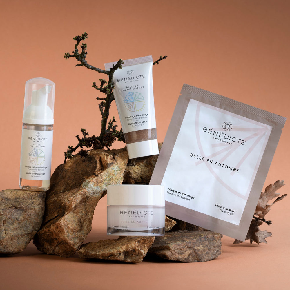 Visuel des Essentiels pour l'Automne Bénédicte photographiés sur de la roche avec des branches sur un fond marron