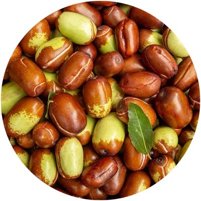 Graines de jojoba