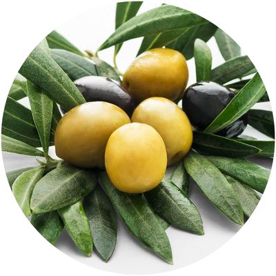 Olives avec des feuilles d'olivier