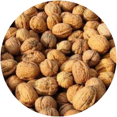 Noix qui représentent la vitamine B5